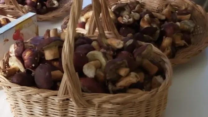 Des fois, une bonne poêlée après une balade.