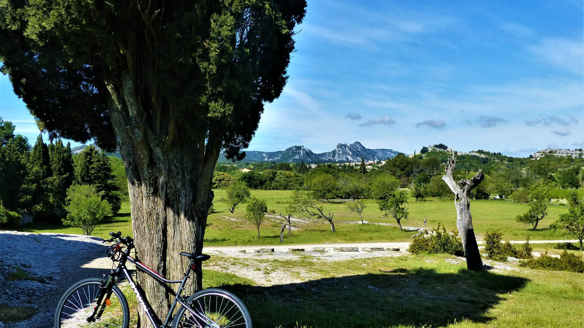 Un paysage de Provence