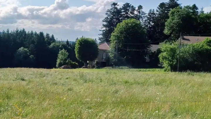 GITE DEPUIS LA D500 (route de la Pierre Plantée)