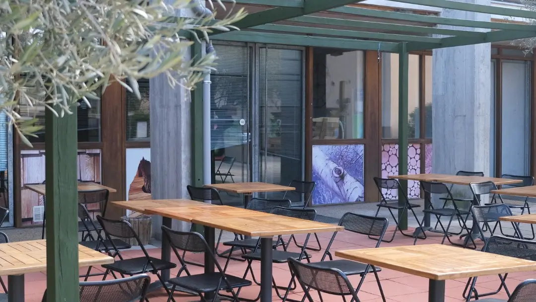 A l'ombre des oliviers