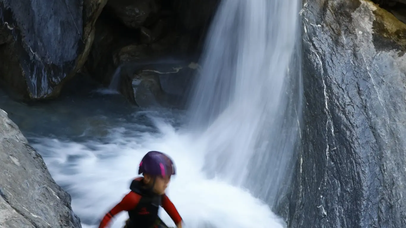 découverte du milieu aquatique