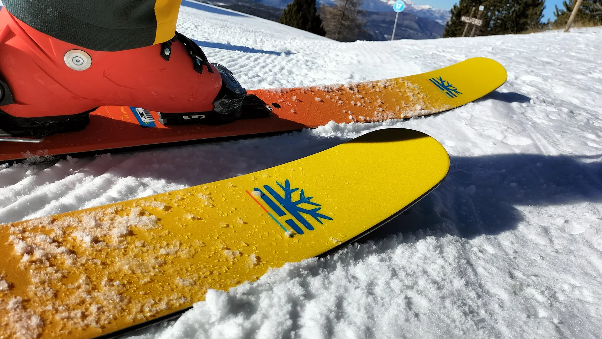 Skis