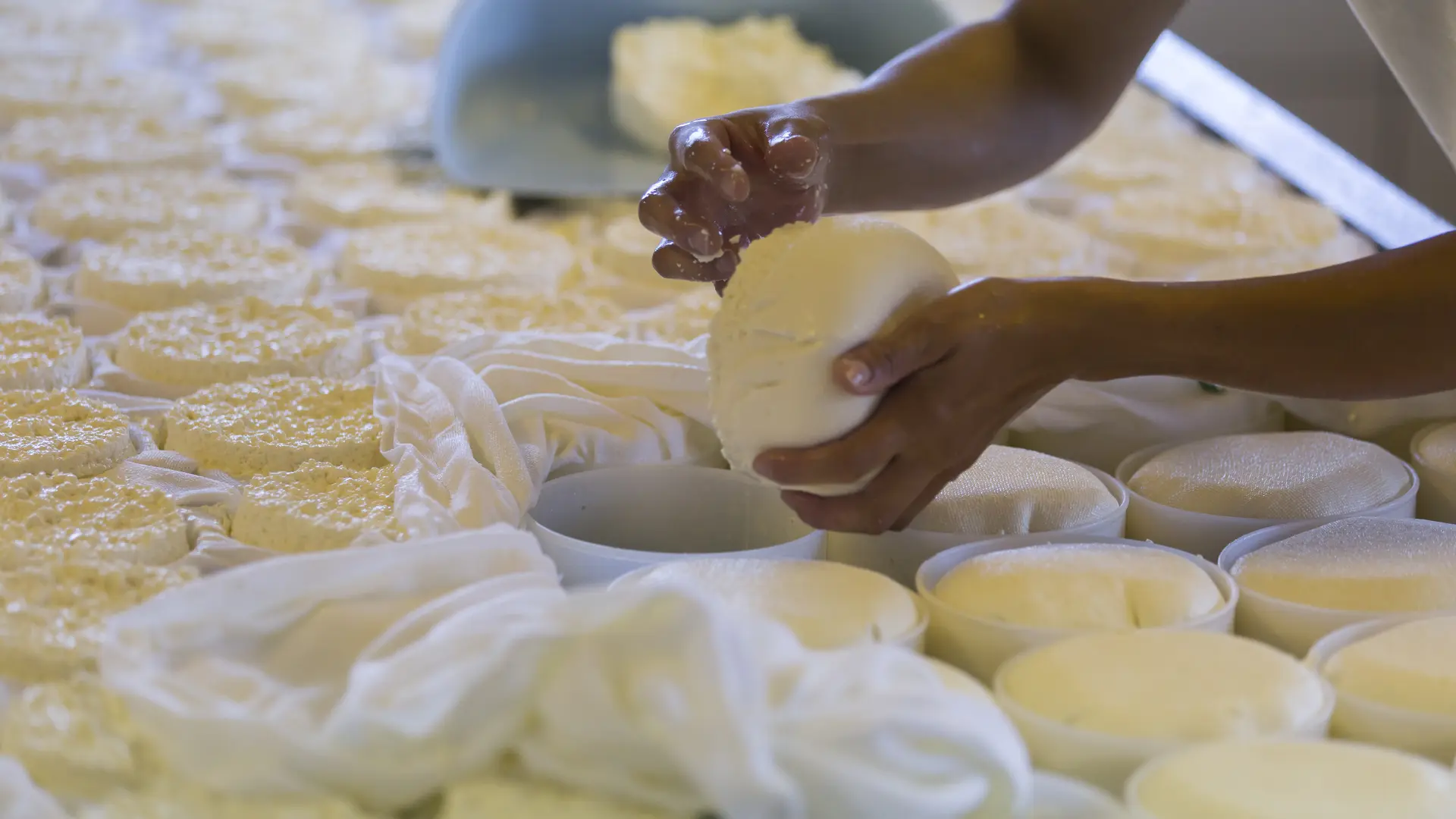 Fabrication du reblochon - L'Aulp de Marlens