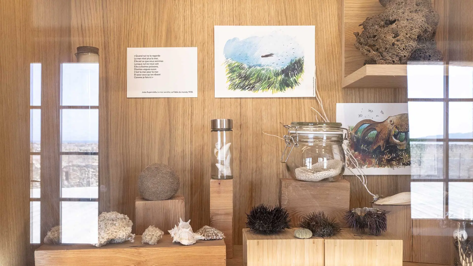 Cabinet de curiosités