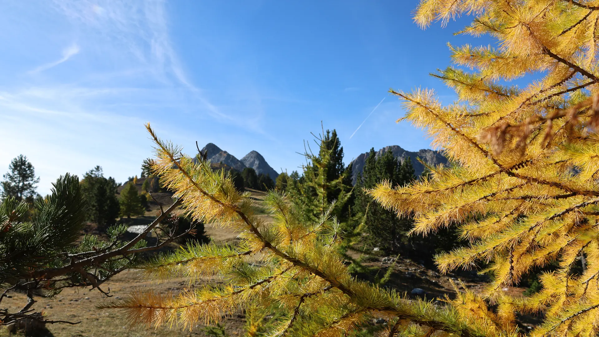 Randonnée du fort de la Lausette