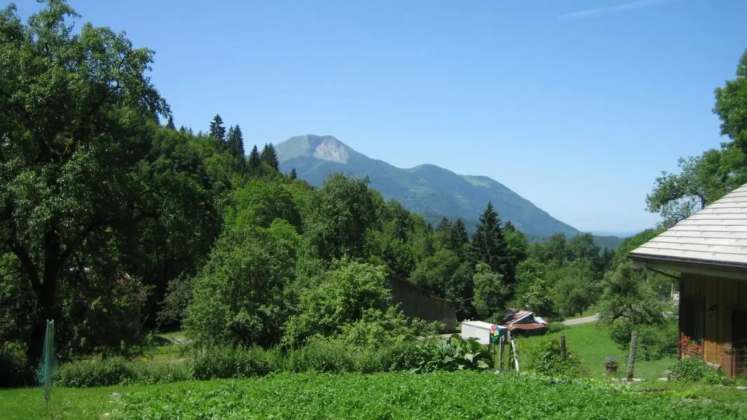 Vue estivale depuis le jardin