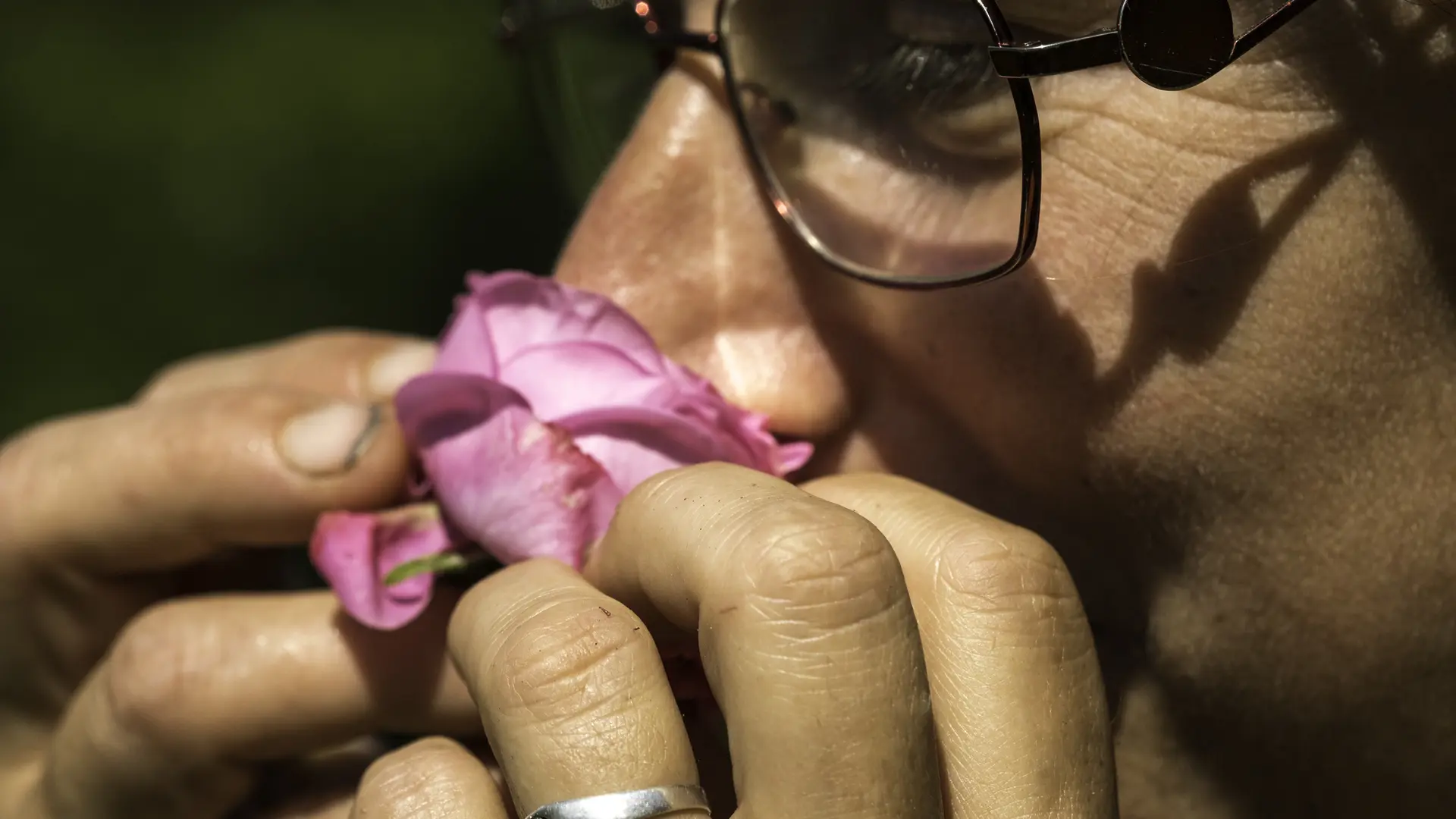 Visite de la roseraie - parfum