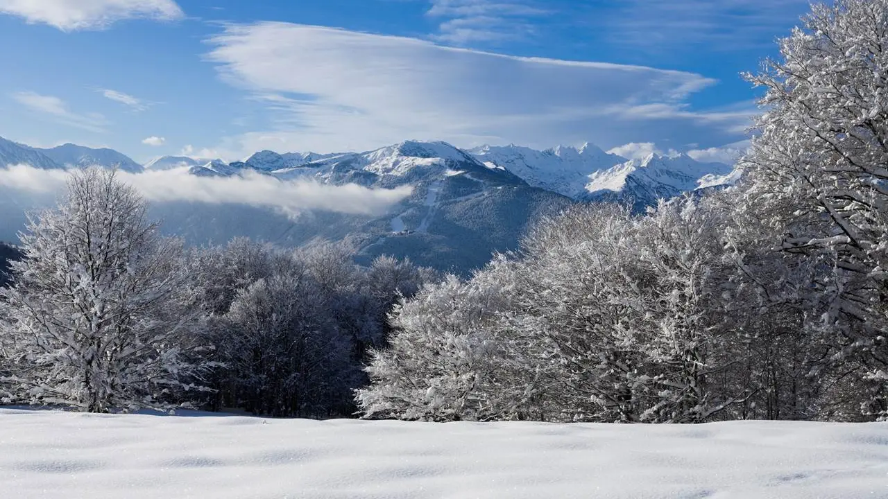 marche nordique paysage