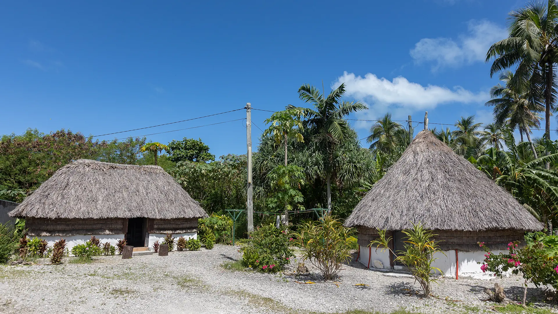 Traditional hut and shelter