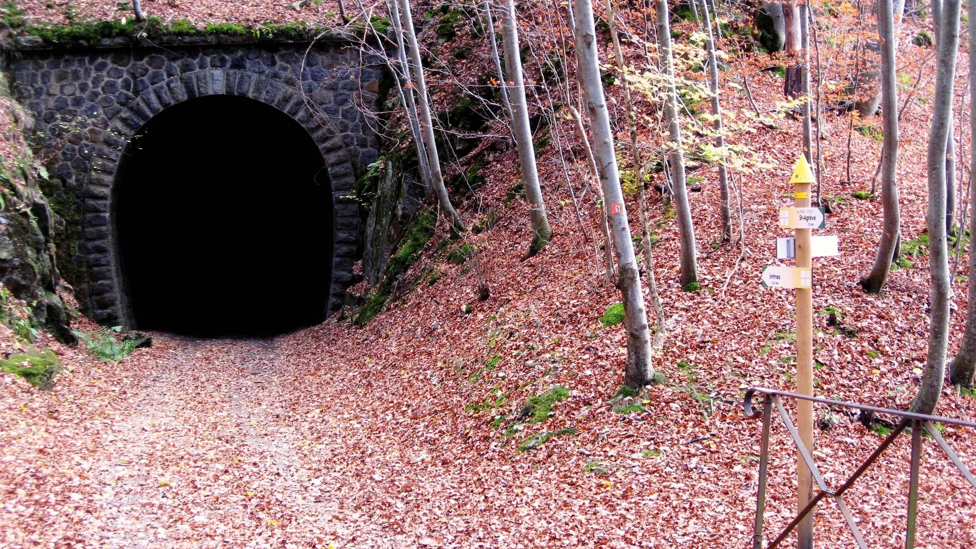 Tunnel du Bon Pas.