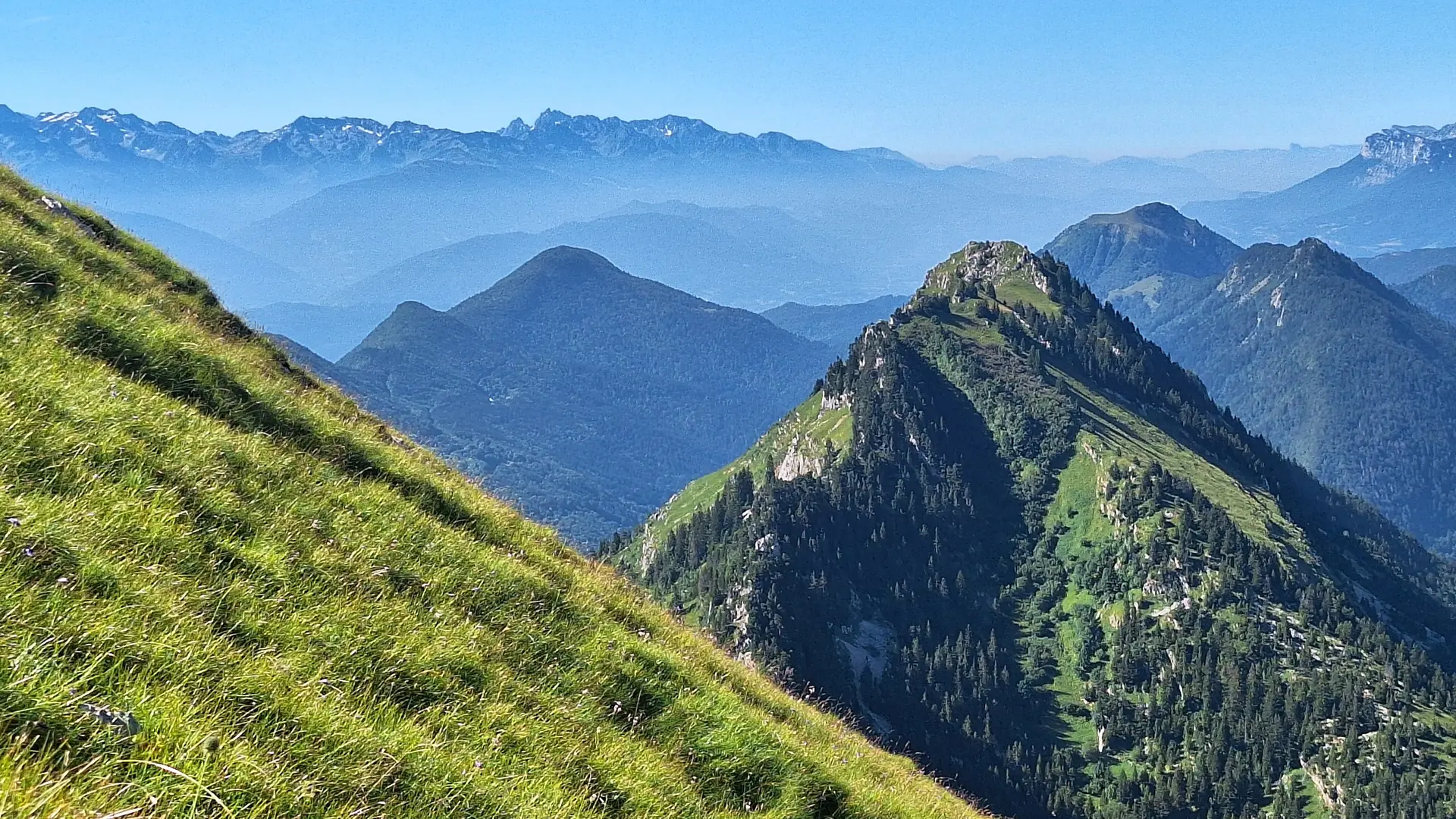 paysage de montagnes verdoyantes