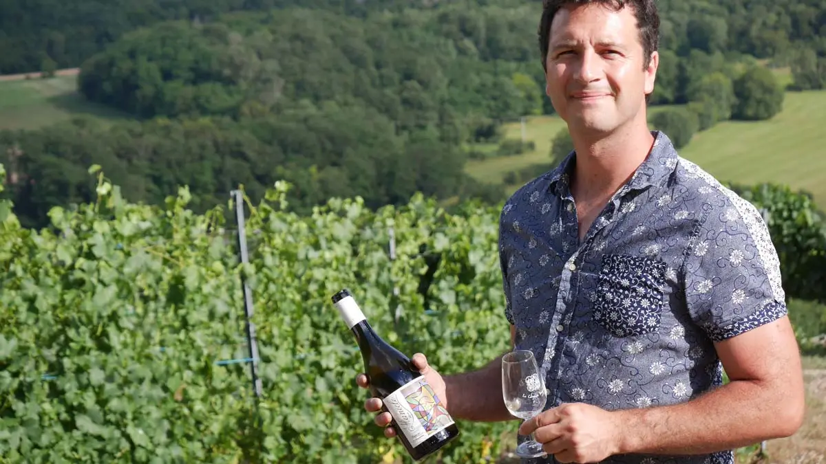Dégustation avec vue sur les vignes