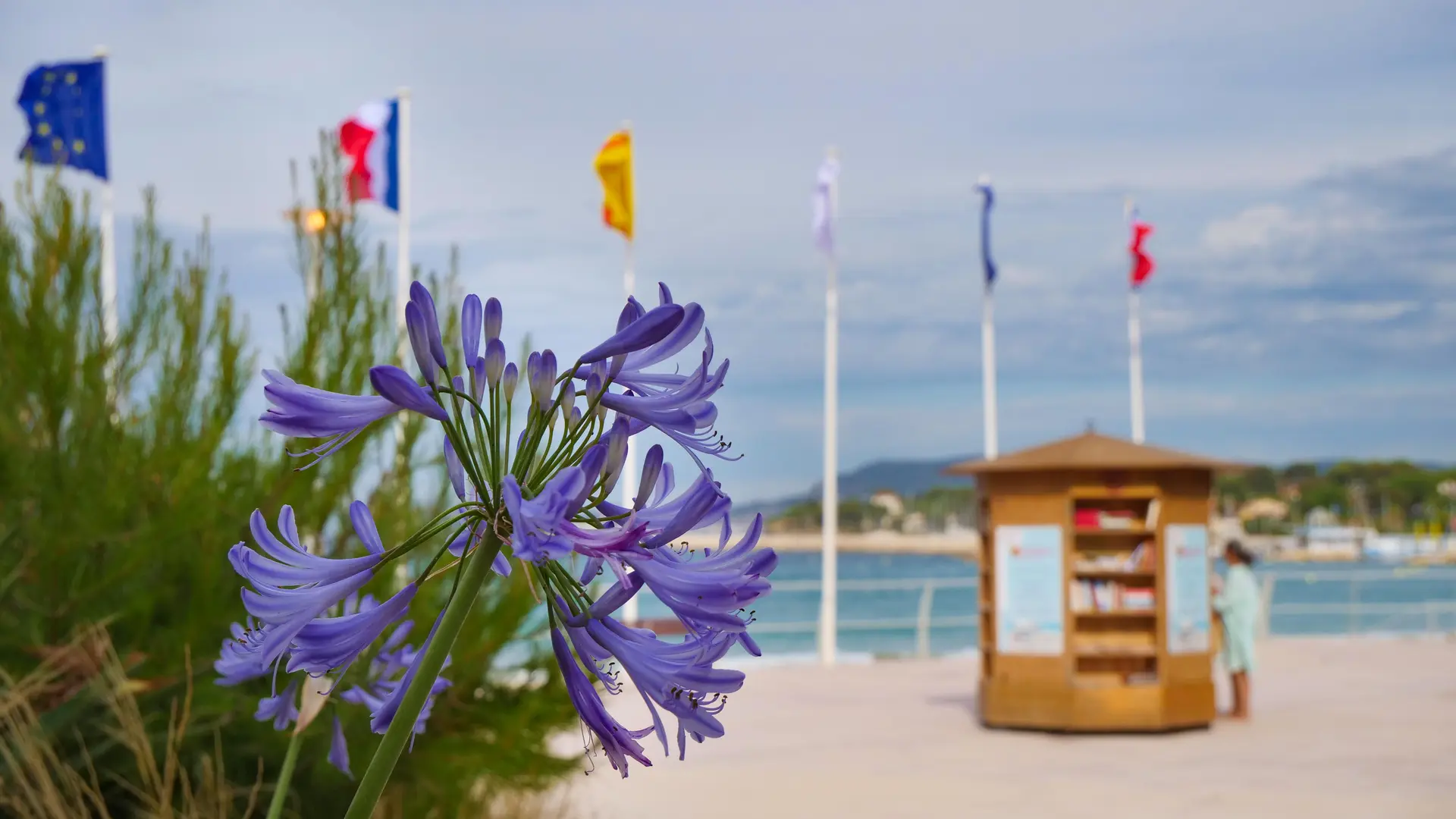 Bibliothèque de plage