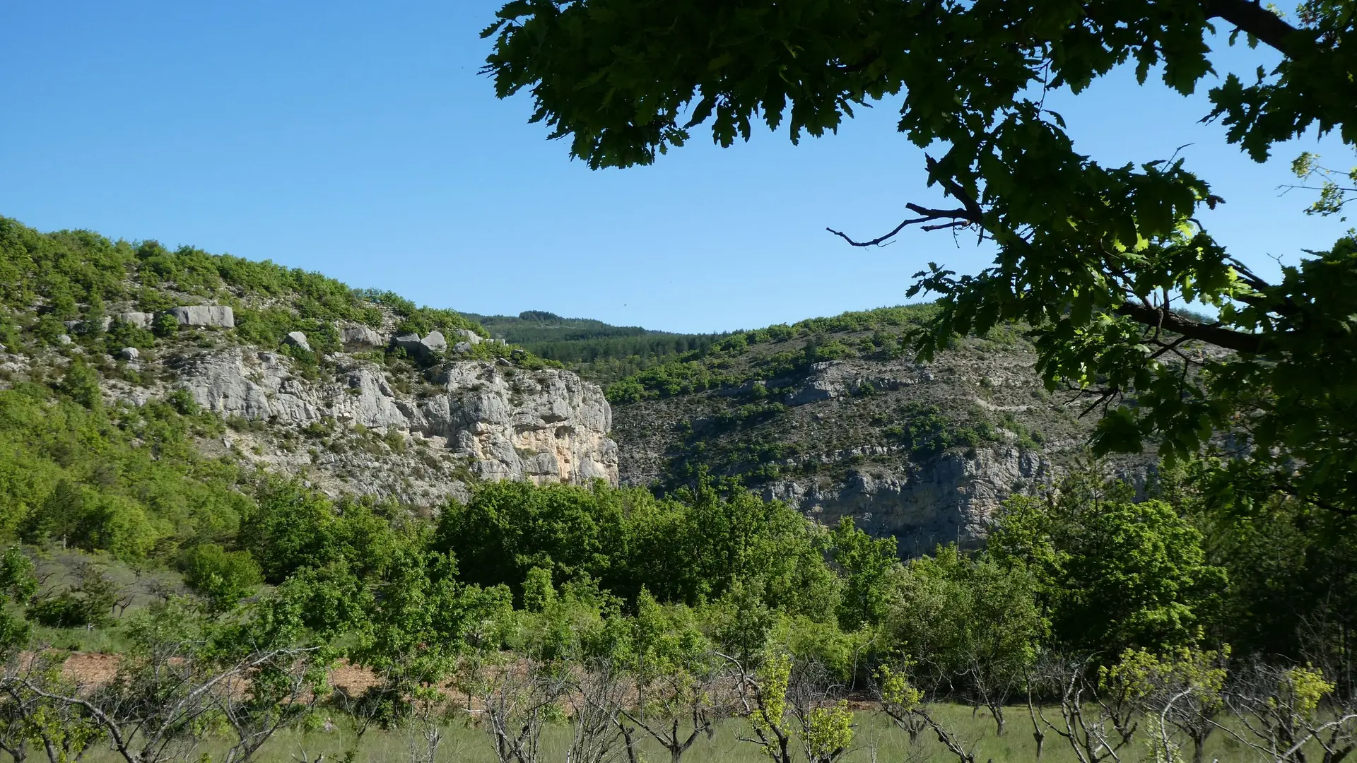 Gorges de la Méouge