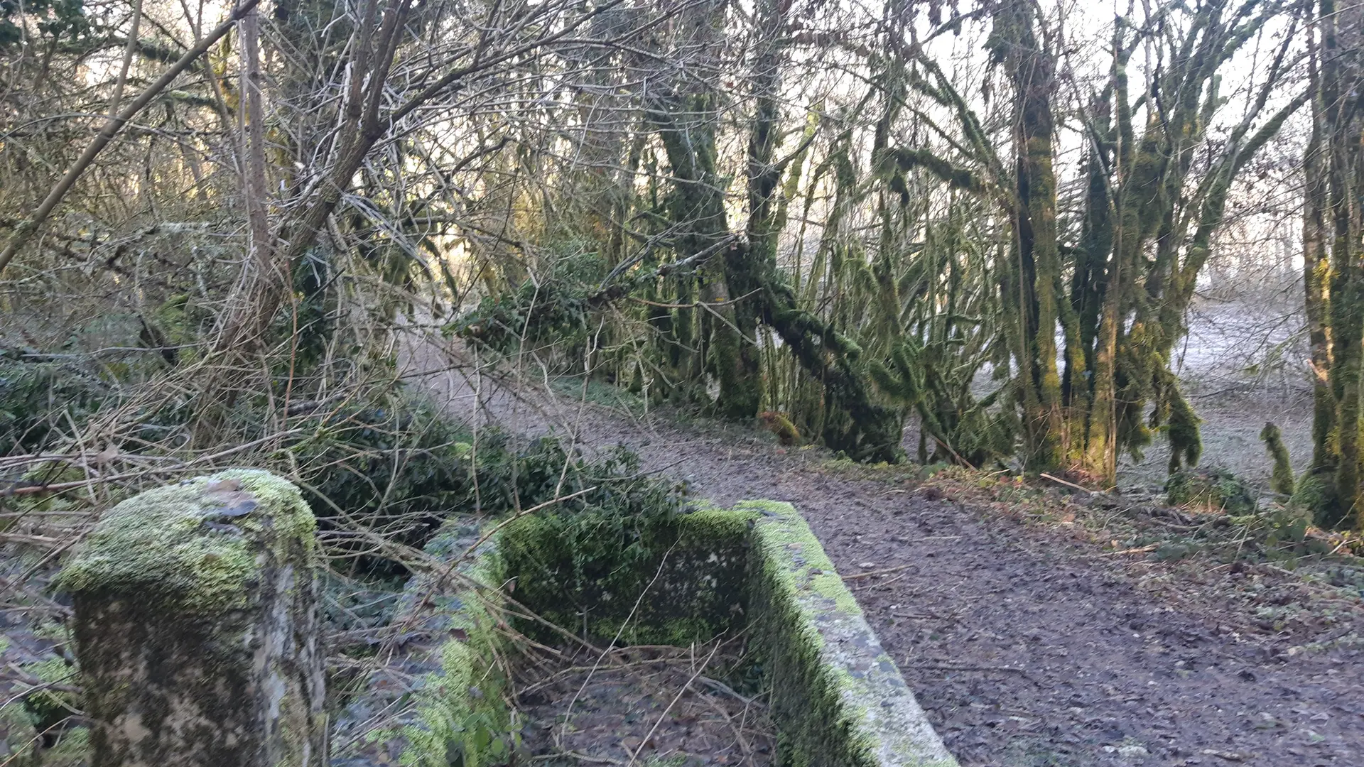 Ruines du château de Montdidier