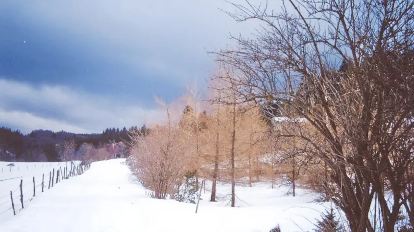 L'environnement sous la neige.
Joyeux noêl !
