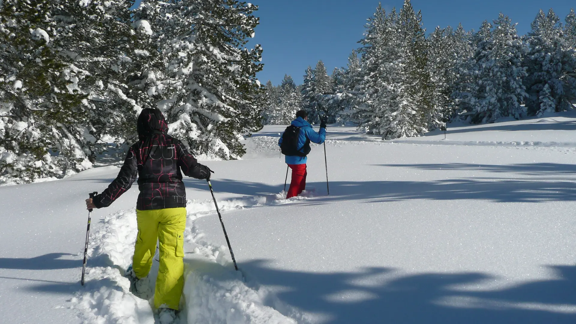 Raquettes à neige