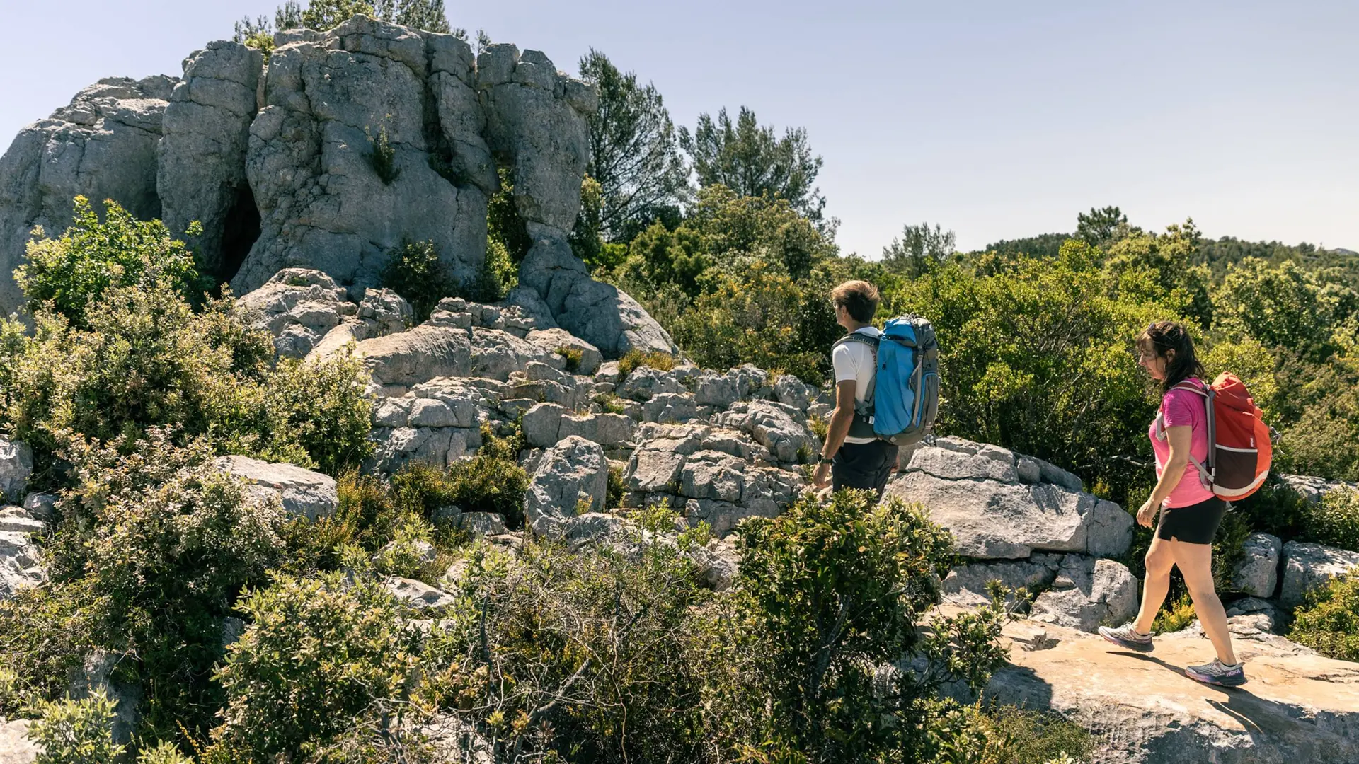 L'éléphant de pierre