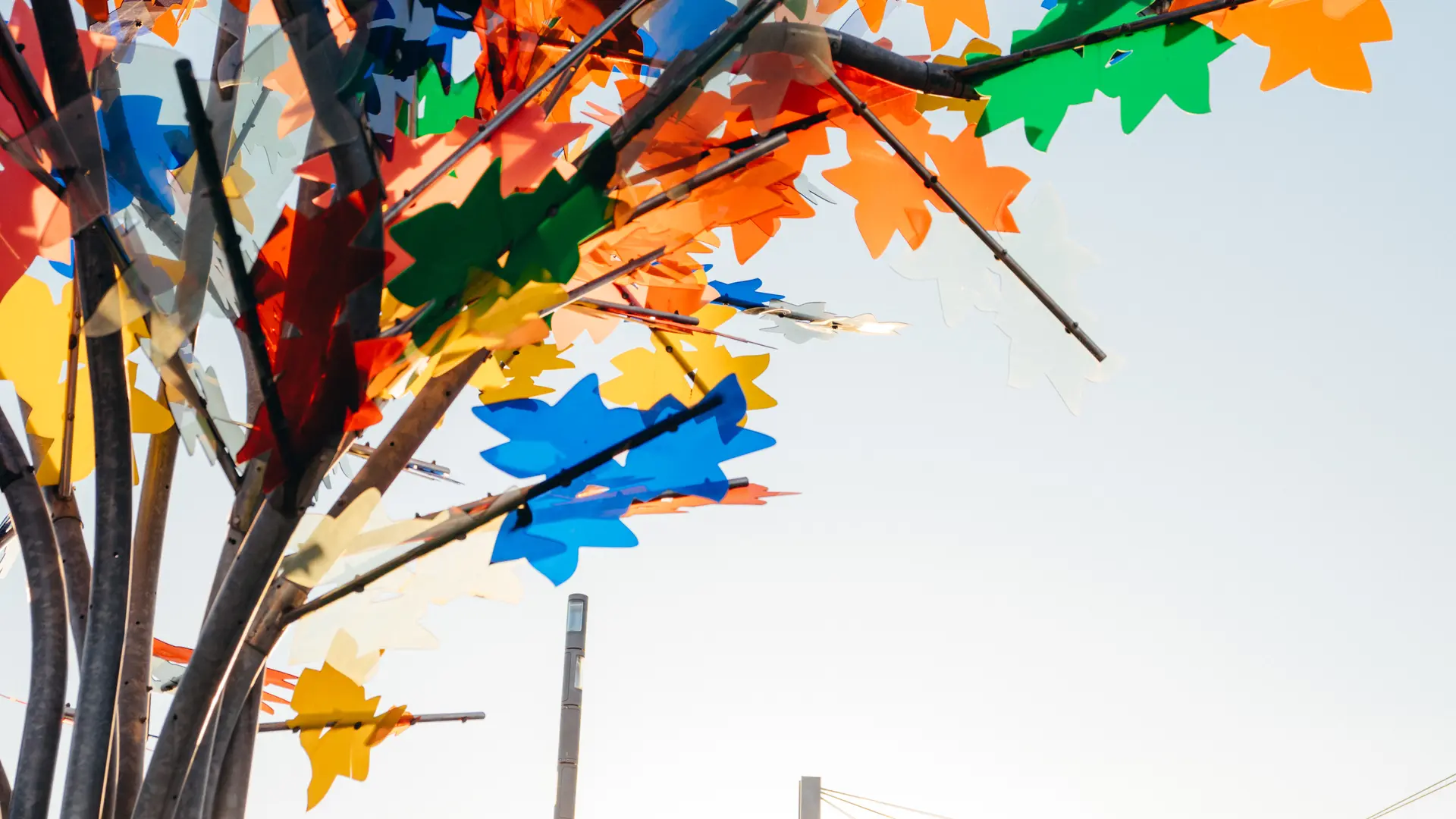 Parvis gare Châteaucreux / arbre multicolor