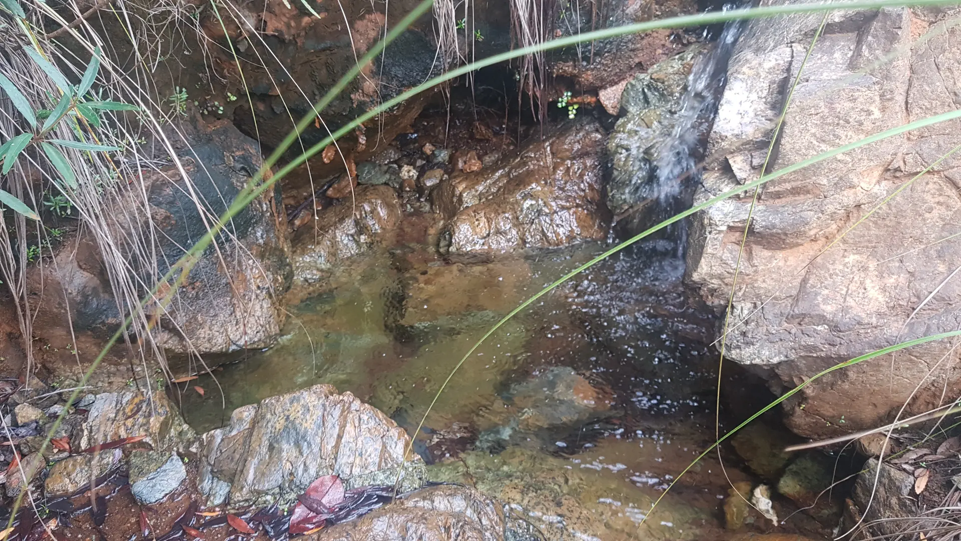 Pour ceux qui auront la chance de gravir le Mont au bon moment, un spectacle rafraîchissant se formera à eux