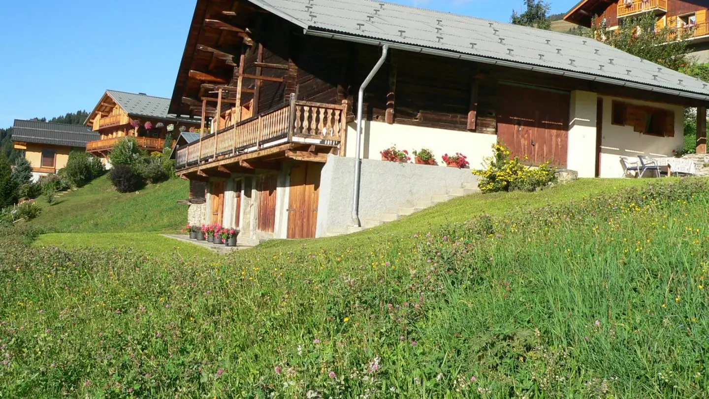 Chalet avec son espace jardin