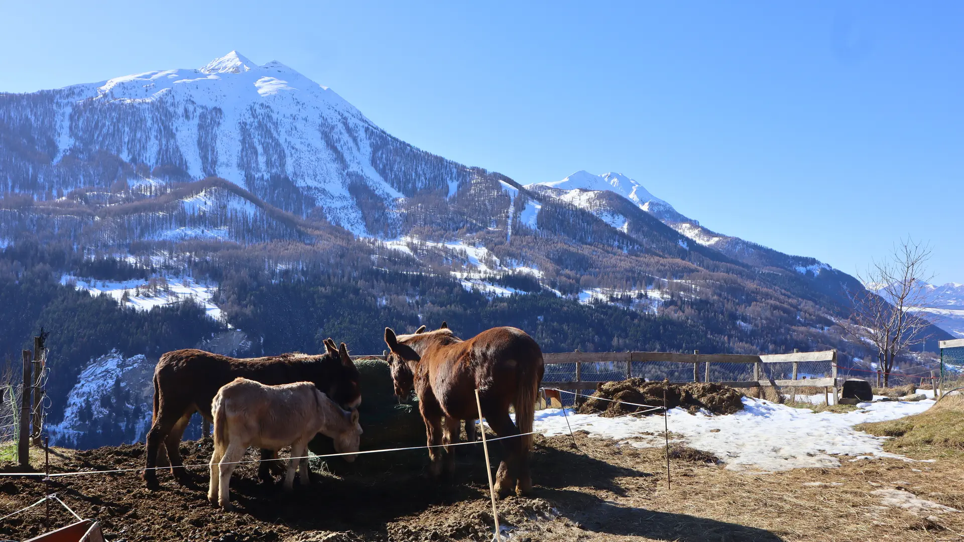 MarcoRandos - Randonnées gourmandes_Orcières