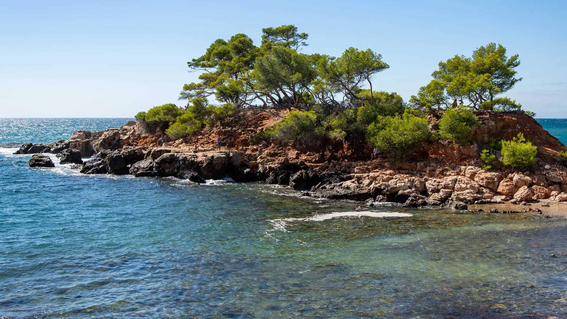 Le Méditerranée_Bandol