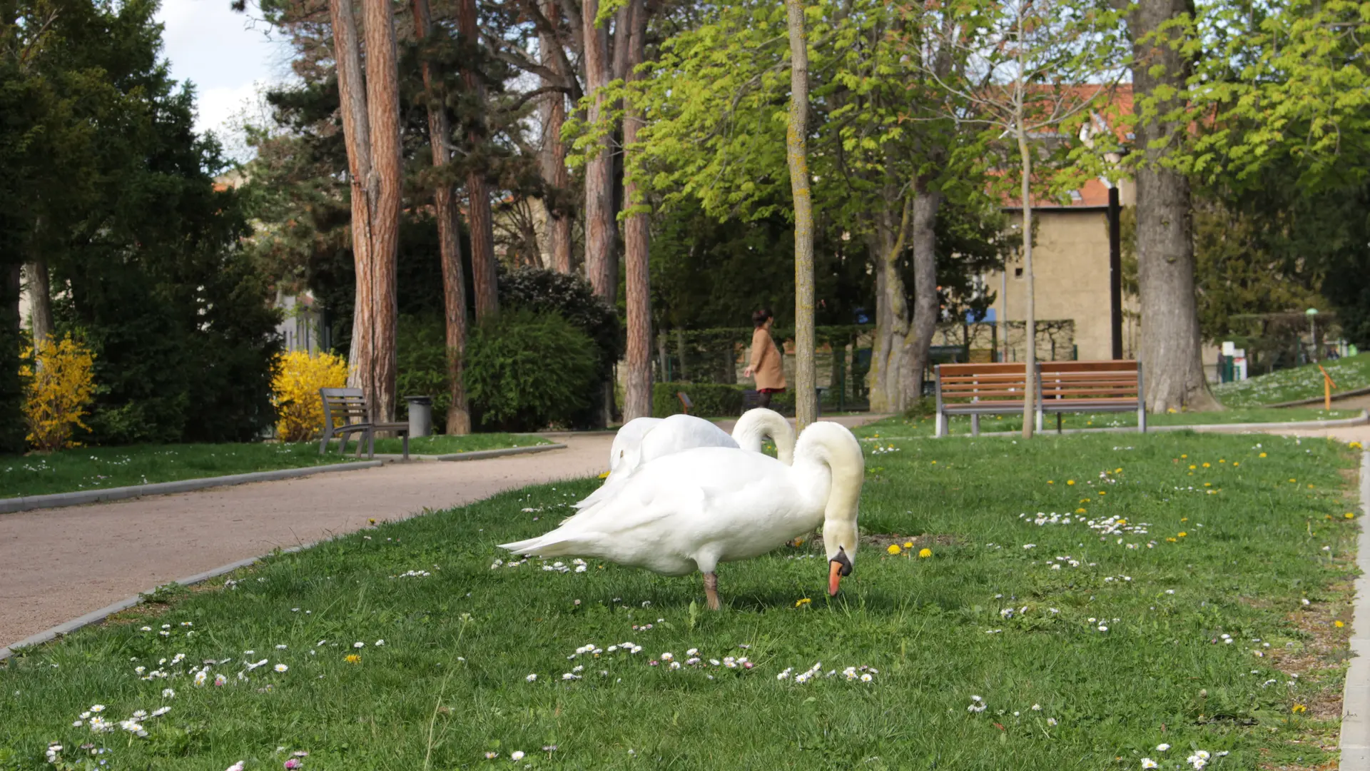 Parcs & Jardins - Square Virlogeux - Riom