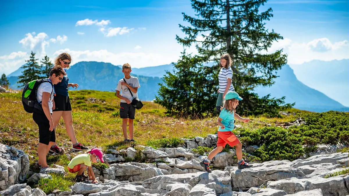 Tannes et Glaciaires du Magériaz