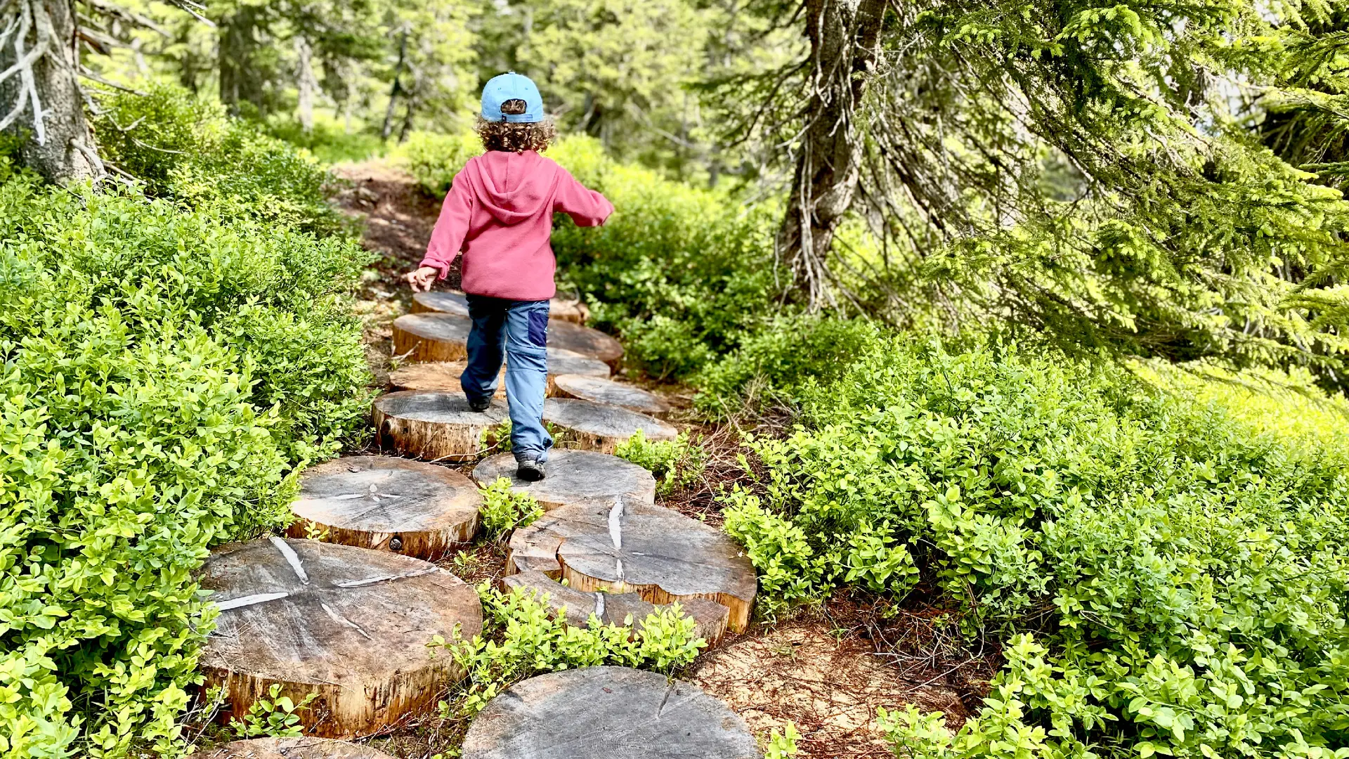 Sentier des Arpelières avec les enfants