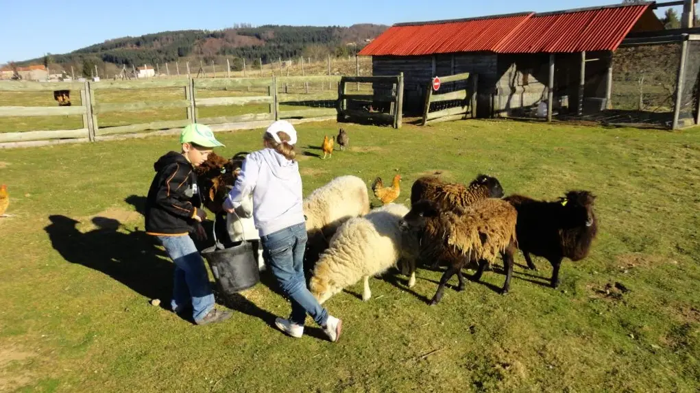 Mini-ferme de la Miellerie La Grange aux Abeilles - Estivareilles 42380