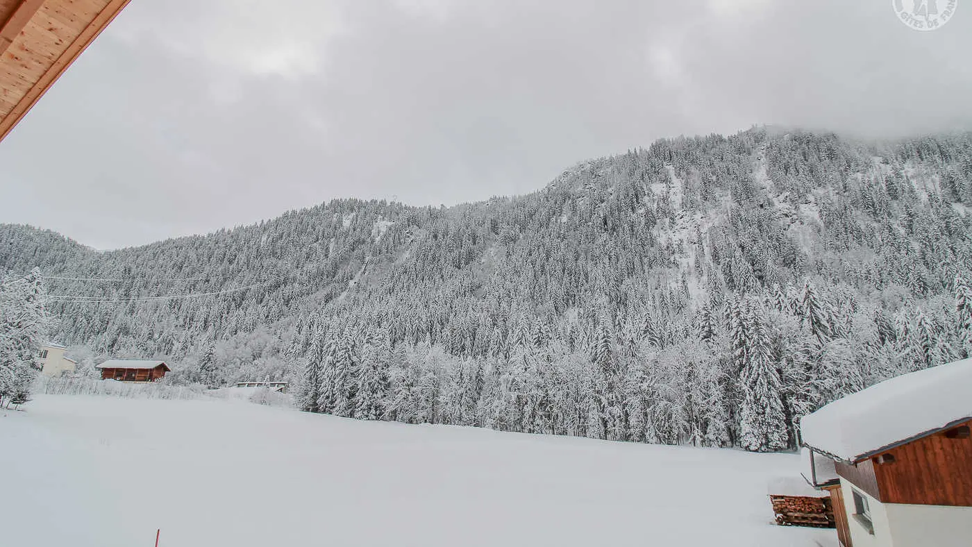 73G132341 - CHALET BELLEVILLE - HAUTELUCE