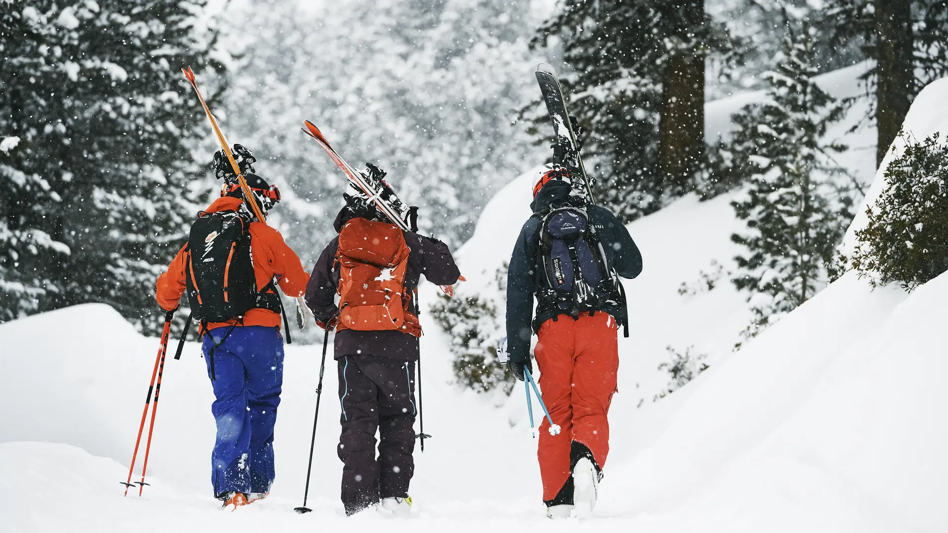 Ski en forêt avec TDCski