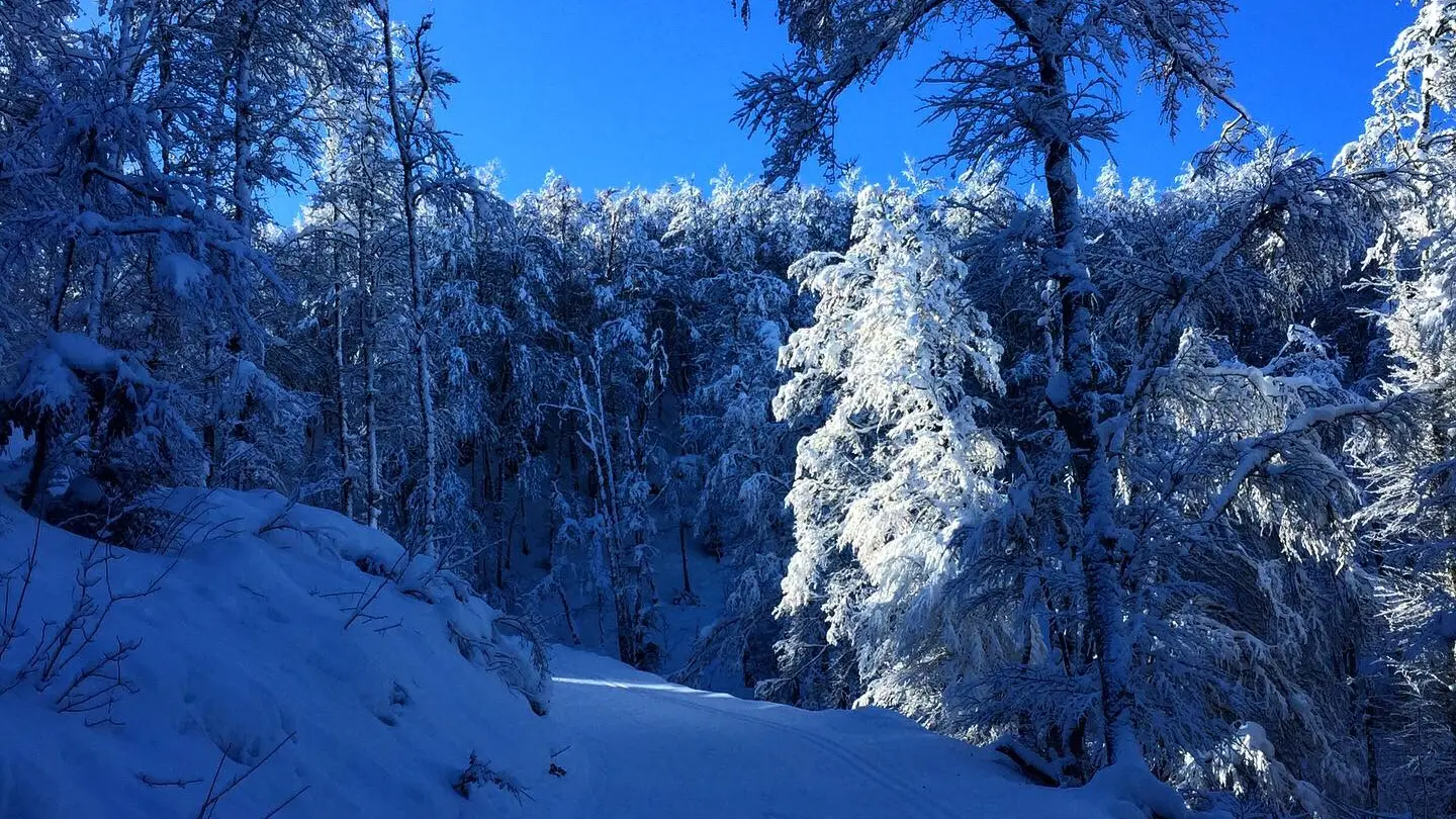 Ski Nordique à la Chapelle de Retord_Haut Valromey