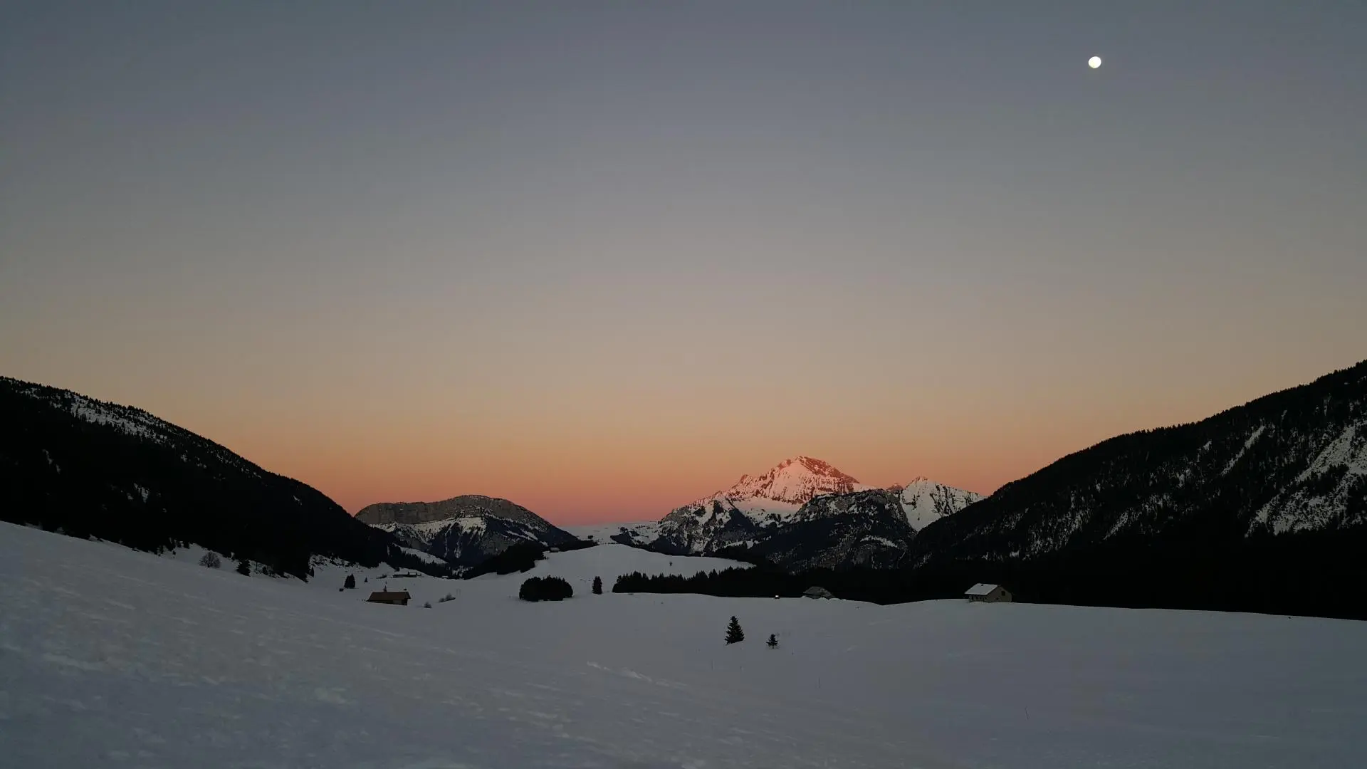 Le Plateau en hiver un soir de pleine lune