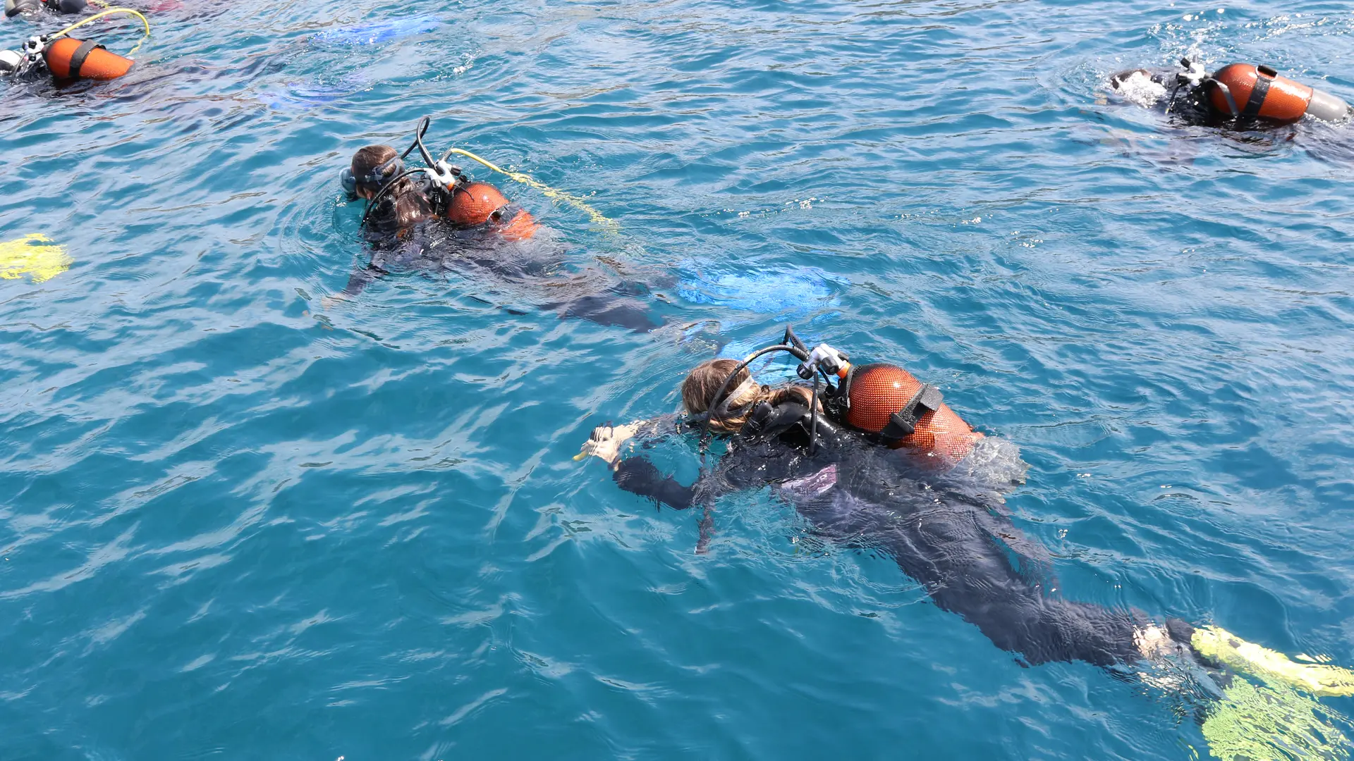 Baptême de plongée et initiation Basic Diver