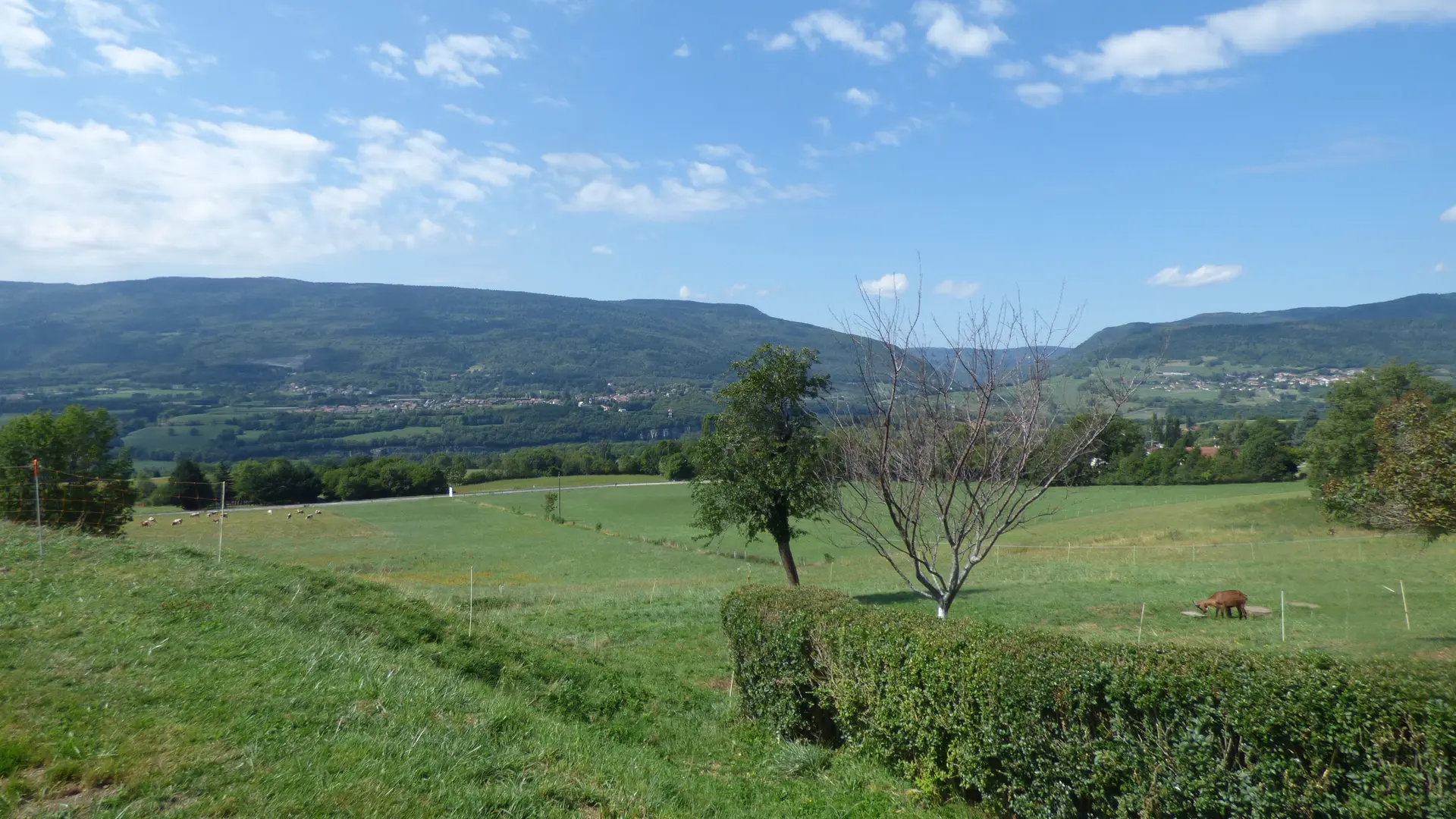 Vue