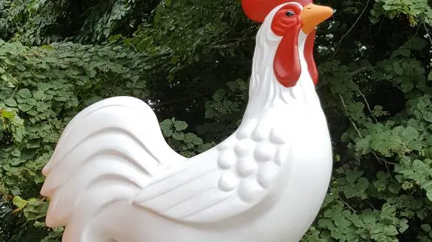 c'est ça la BRESSE