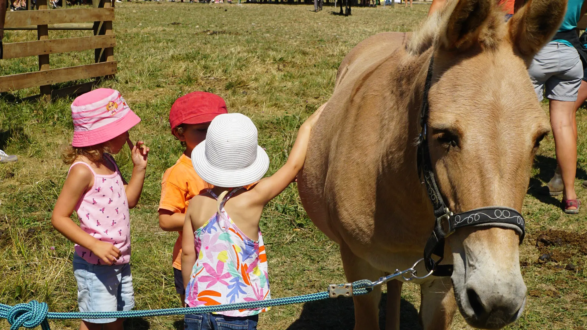 Mule avec des enfants