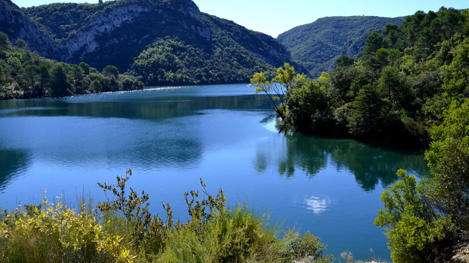 Dans le bleue du lac