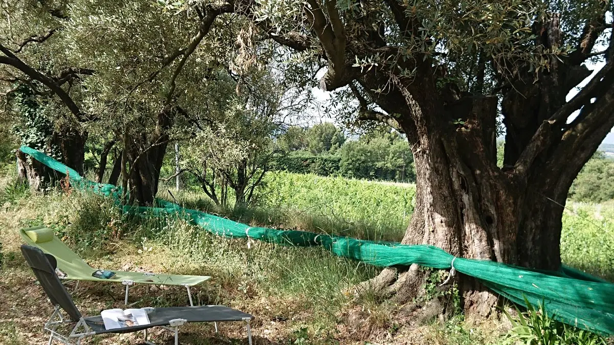 Domaine du Chêne Vert - Gîte La Bergerie