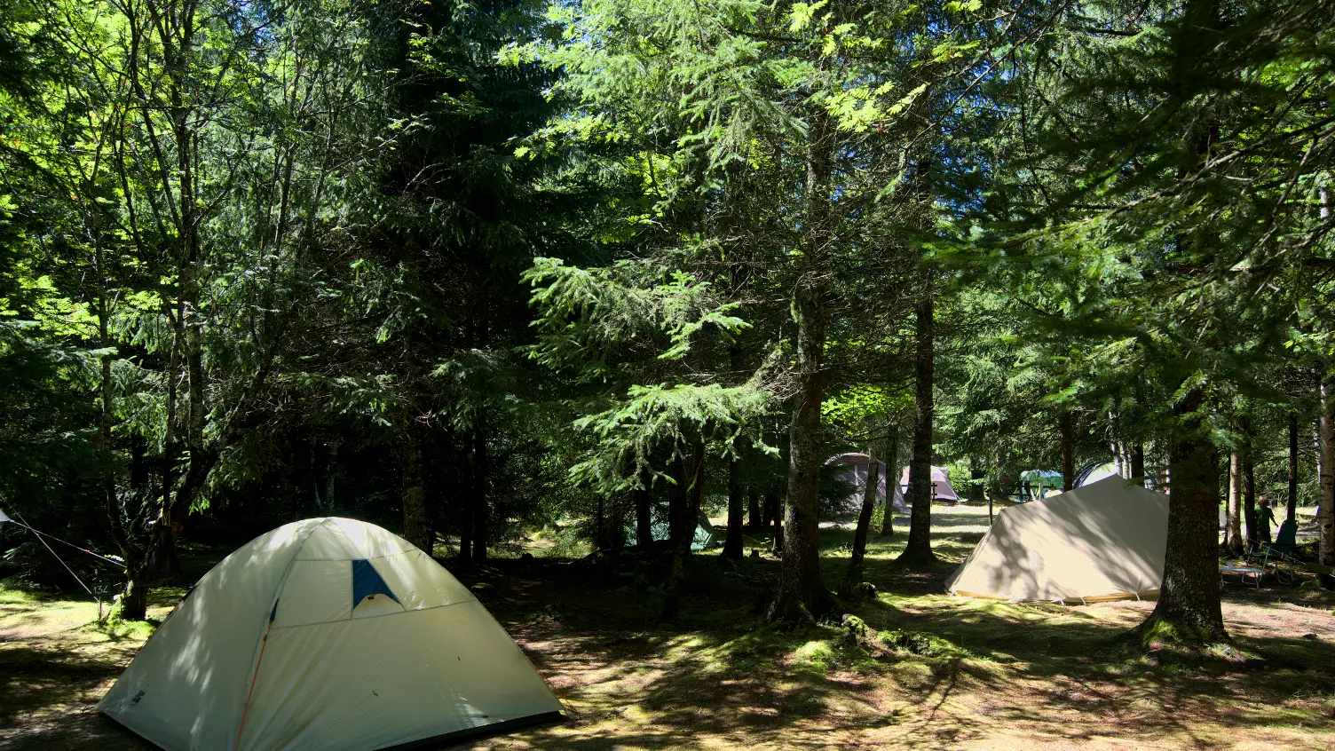 camping mer de glace 12
