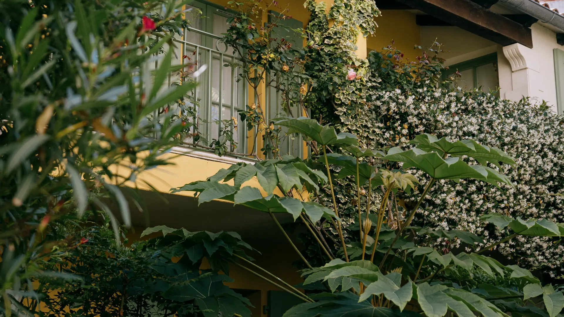 Balcony overlooking gardens