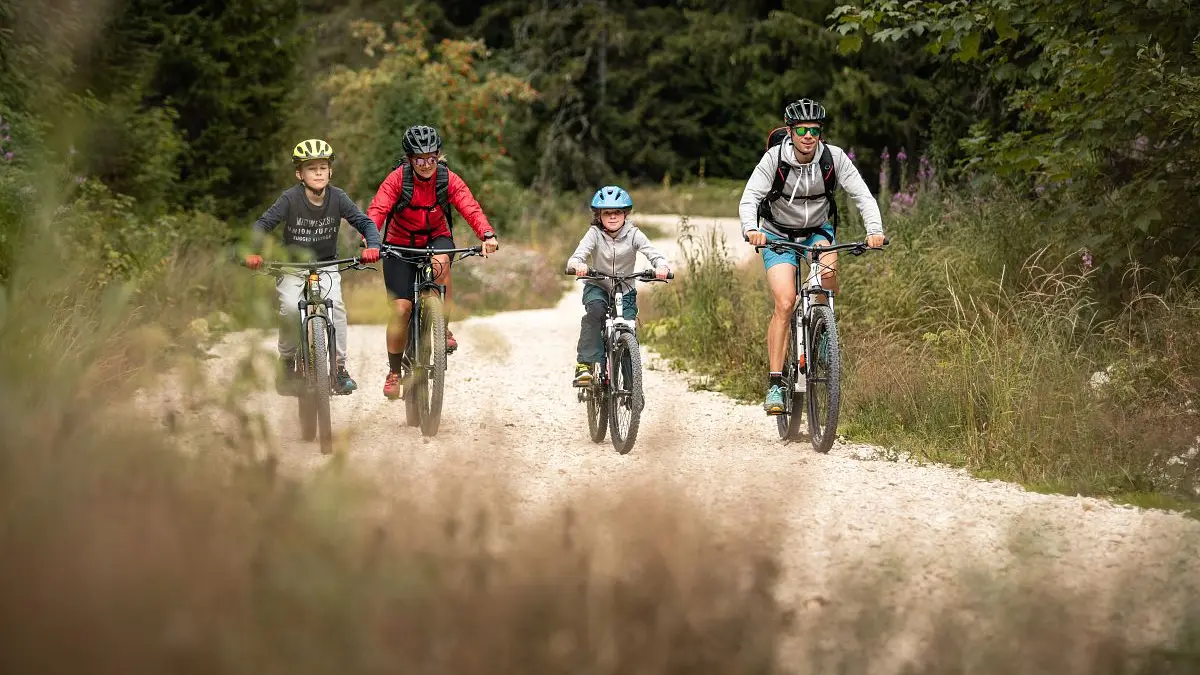 VTC en famille