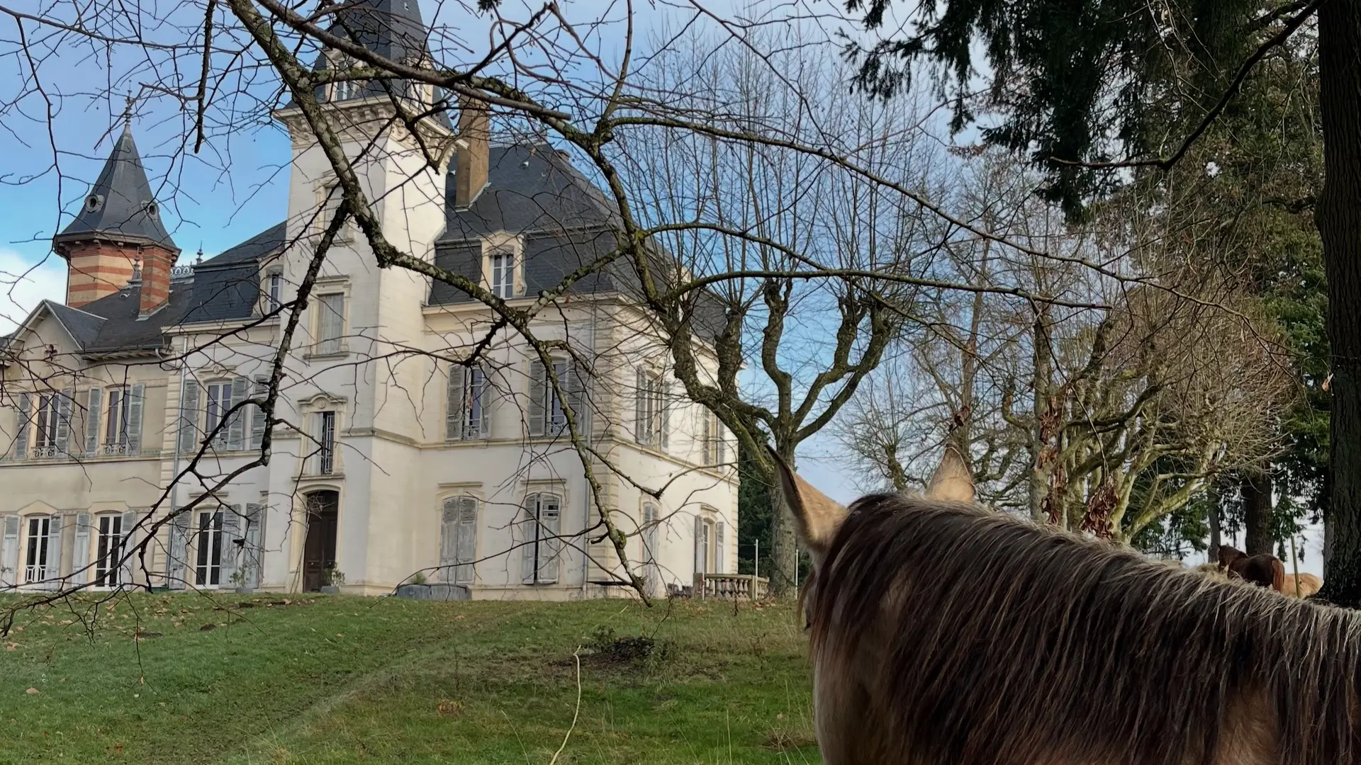 Le Château et Lily Rose