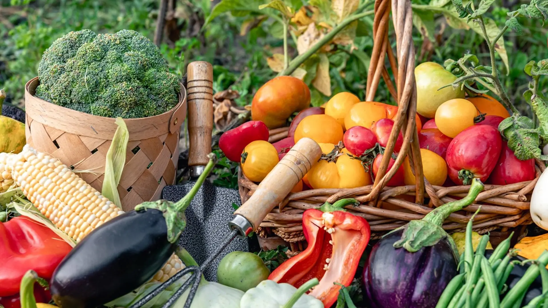 Fruits et légumes du potager