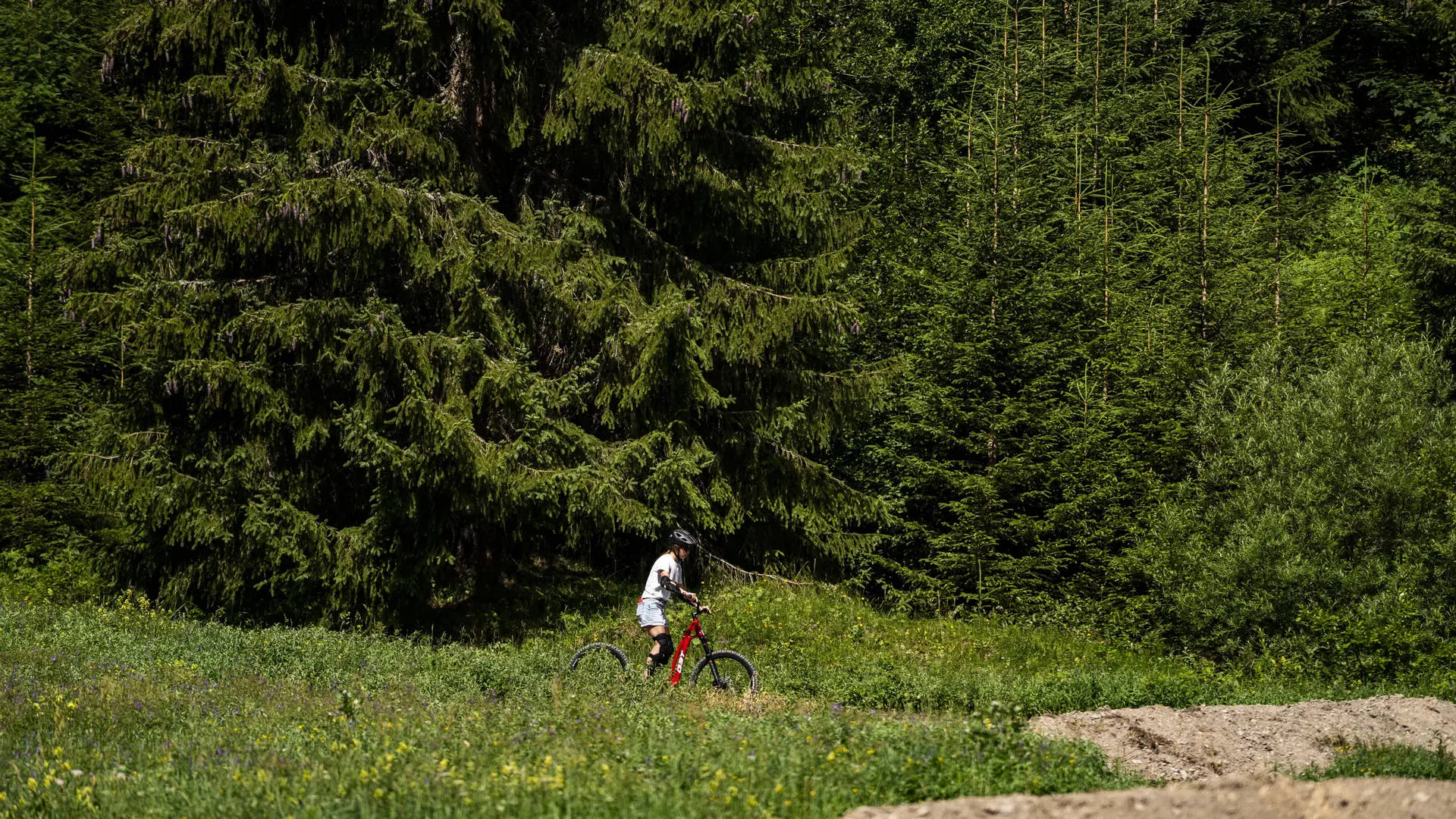 Trottinette tout-terrain