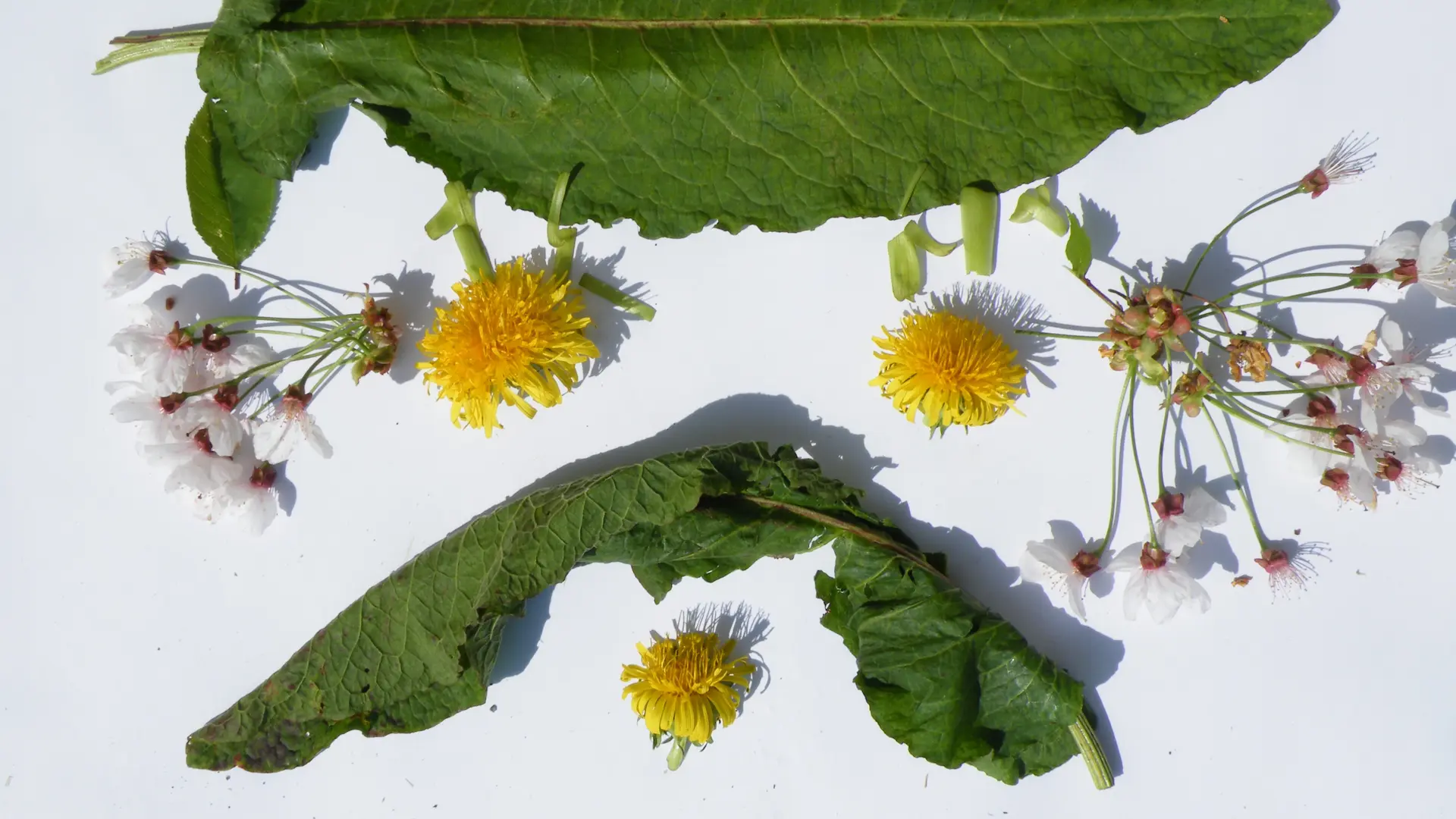 Land Art