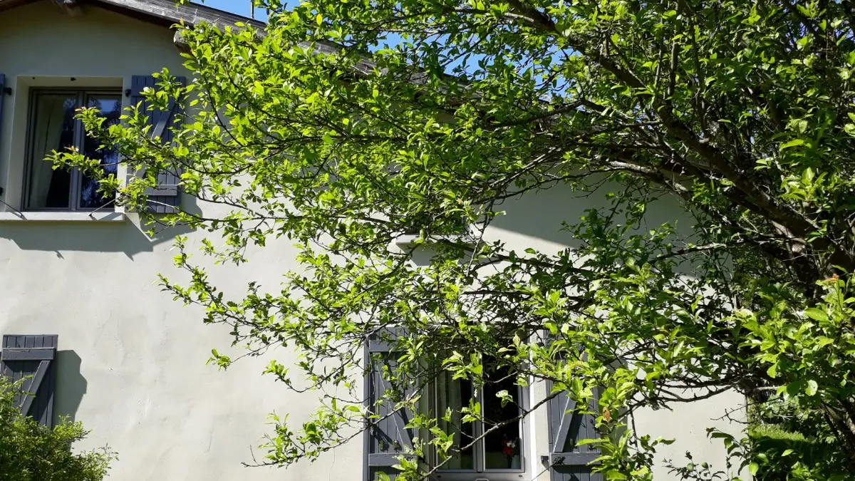 Gîte le Bois de L'étang - côté jardin