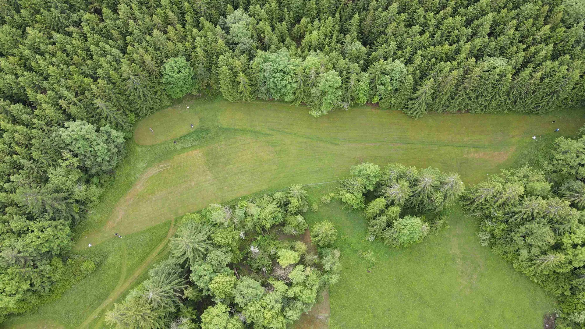 prairie sans arrosage ni pesticides